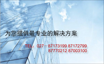 为您提供最专业的解决方案 TEL：027－87173199 87172799                      87770212 87003100